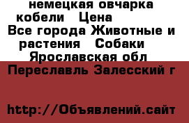 немецкая овчарка кобели › Цена ­ 25 000 - Все города Животные и растения » Собаки   . Ярославская обл.,Переславль-Залесский г.